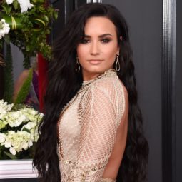 demi lovato on the red carpet in a cut out dress with very long dark hair